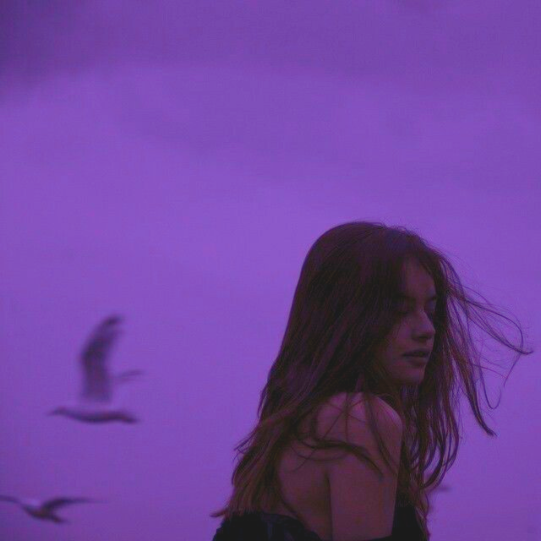 Birds flying without me